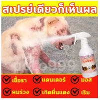 Kaililai สเปรย์รักษาขี้เรื้อน 500ml ยาขี้เรื้อนหมา ยาแก้เรื้อนหมา ยารักษาขี้เรื้อนหมา ผื่นแดง ​อาการคัน ผิวหนังอักเสบ ตุ่มคัน ขี้เรื้อนเรื้อรัง เชื้อราแมว ยาทาขี้เรื้อน ยาแก้เรื้อนแมว สเปรย์รักษาขี้เรื้อนหมา สเปรย์รักษาขี้เรื้อนหมาแมว