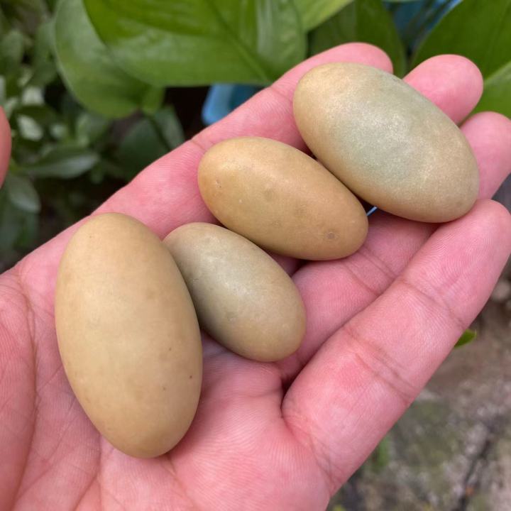 หินธรรมชาติส่องสว่างหินวงรีอัญมณีดิบเรืองแสงในหินมืดคริสตัลหินหยาบตัวอย่างการรักษาแร่ธาตุ