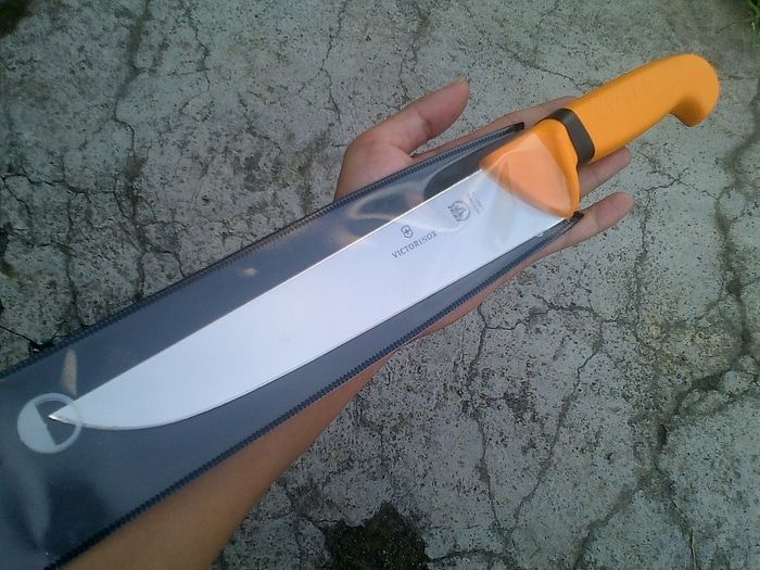 Pisau Sembelih Victorinox Swibo 24 Cm Butcher Knife 5.8431.24 Bilah ...