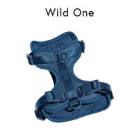 Wild One - Harness สายรัดอกสุนัข │ Navy