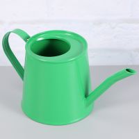 【CC】 Watering Can with Spout Sprinkler Pot Metal Accents Newborn Indoor ( )