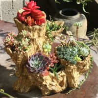 [hot]✳☍  Broken Wood Succulent Resin Outdoor Balcony Furnishing Crafts Garden Villa Ornaments Decoration