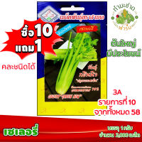 (ซื้อ10แถม1) เมล็ดพันธุ์ เซเลอรี่ Celery ประมาณ 2,000เมล็ด 3A สามเอ ผักสวนครัว เมล็ดพันธุ์พืช เมล็ดผัก เม็ดผัก พืชผัก