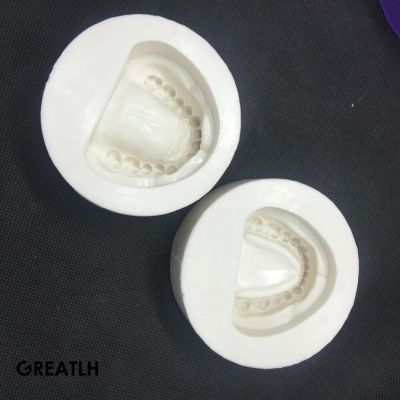 Dental Edentulous Jaw Complete Cavity Block Full Teeth Plaster Model Dental Mould