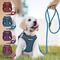 Soft Mesh Dog Harness Vest Reflective Pet Puppy Walking Training Harness Leash Set For Small Medium Dogs Cats Chihuahua Pug Collars