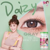 ?*มีค่าสายตา*?   Pretty Doll  Daizy Gray สายตาปกติ และสายตาสั้น รหัสสินค้า 045