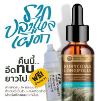 แถมน้ำมันนวด. Eurycoma Longifolia, Tongkat Ali Extracted (ชนิดน้ำ) รากปลาไหลเผือก สารสกัดสมุนไพรธรรมชาติ