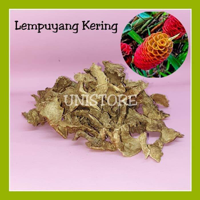 Lempuyang kering Pack 1kg Lazada Indonesia