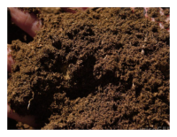 พีทมอส(Peat moss) พีทมอสคลาสแมน แบ่งขายบรรจุขนาด 1000 กรัม  จากเยอรมัน แคนตัส ไม้อวบน้ำ ทำสวนขวดแก้ว