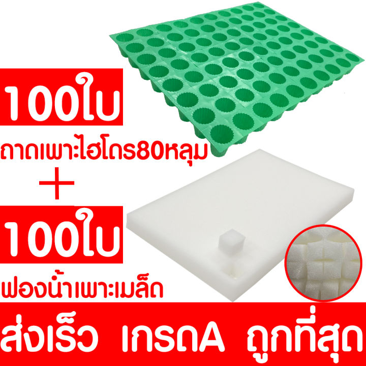 ฟองน้ำเพาะเมล็ด-ถาดเพาะไฮโดร-100ชุด-ฟองน้ำปลูกผัก-ถ้วยปลูกผัก-ฟองน้ำปปลูกผักไฮโดร-ผักไฮโดร-ไฮโดรโปนิกส์-ถาดเพาะ-ถาดเพาะเมล็ด