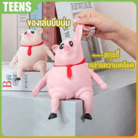 Piggy Squeeze Toy หมูยืด สกุชชี่ ของเล่นยืดได้ ของเล่นบีบ คลายความเครียด สกุชชี่ ของเล่น ของเล่นบีบนุ่ม ของเล่นยืด