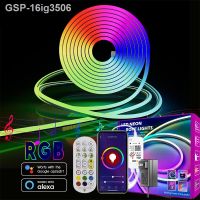 ♤16ig3506ยืดหยุ่นได้แบบเชือกหลอดแผงไฟ RGB Quarto E Quartto 12V 10M 32.8ft IP65 TUYA