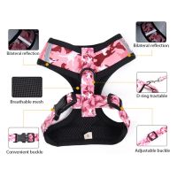 Dog Harness and Leash Kit Reflective Adjustable Leash And Collar Set for Puppy Kitten Supplies Multicolors