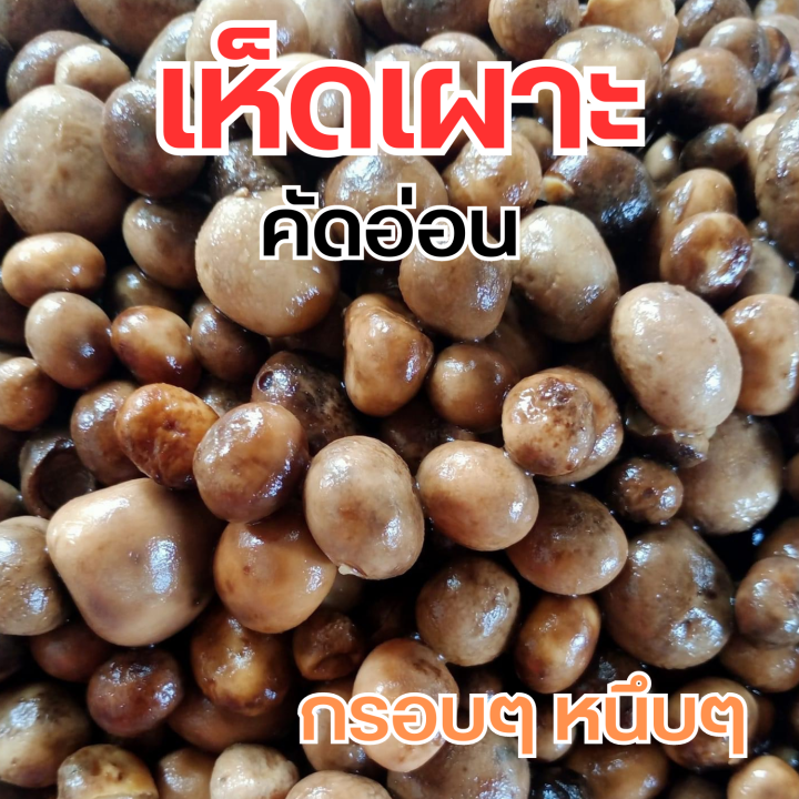 เห็ดเผาะ-คัดอ่อน-ต้มแล้ว-แพคสูญญากาศ-500-กรัม