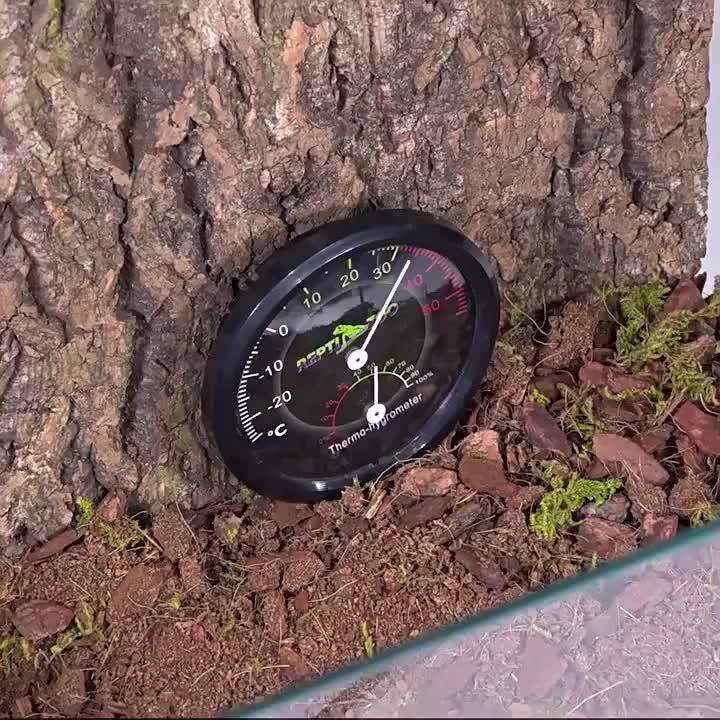 Reptizoo Reptile Feeding Temperature Control Crawling Hygrometer For