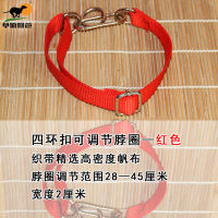 New Pet Products Designer Wholesale Adjustable Dog Collar And Leash Set