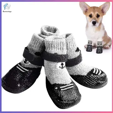 Small Dog Socks