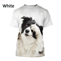 Women (สต็อกเพียงพอ) Men Cute Dog Casual T Shirt Border Collie 3D Printed T-shirt Summer Fashion Unisex Animal Round Neck Short Sleeveคุณภาพสูง size:S-5XL