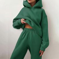 Women Tracksuit Casual Fitness Hooded Long Sleeve Sport Suit Autumn Winter Warm Hoodie Sweatshirts Long Pant Fleece 2 Piece Sets