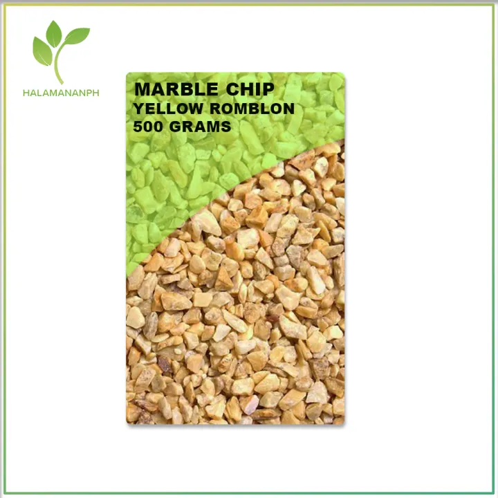 Yellow Romblon Marble Chips 500 grams Pebbles Stone For Plants
