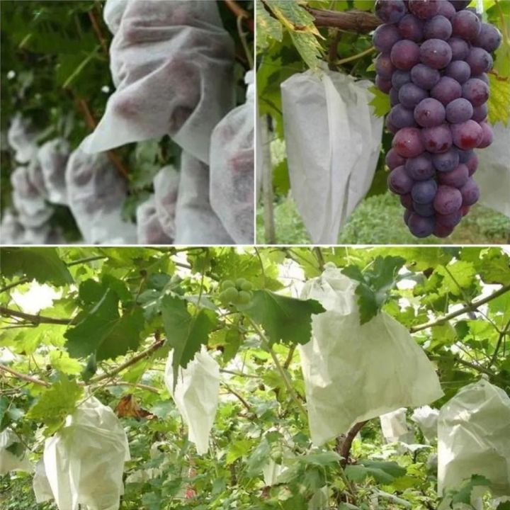 100pcs-grapes-fruit-grow-bags-netting-mesh-for-strawberry-vegetable-plant-protection-gift-organza-bags-anti-bird-garden-tools