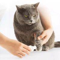 【พร้อมสต็อก Xiaomi Pawbby Pet Electric Nail Clipper กรรไกรตัดเล็บไฟฟ้าสำหรับสัตว์เลี้ยง เครื่องเจียรเล็บหมาแมว