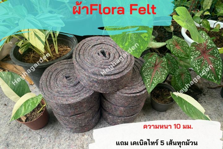 ผ้าเฟลท์-flora-felt-สำหรับทำเสาไม้เลื้อย-ทำเสาหลักปักต้นไม้-ยาว-2เมตร