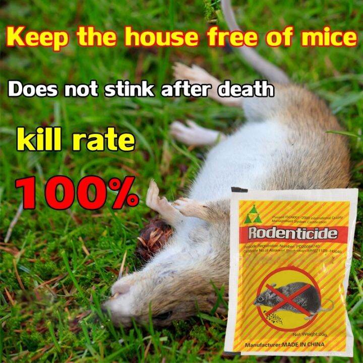 rodenticide Rat killer poison lure that mice like to eat mouse rat trap