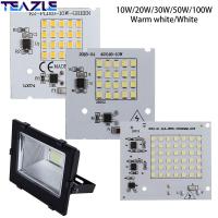 TEAZLE ชิปสมาร์ท IC LED อินพุต1ชิ้นสีขาว/อบอุ่นสีขาว10W 20W 30W 50W 100W 220V SMD2835อินพุตลูกปัดโคมไฟขับ