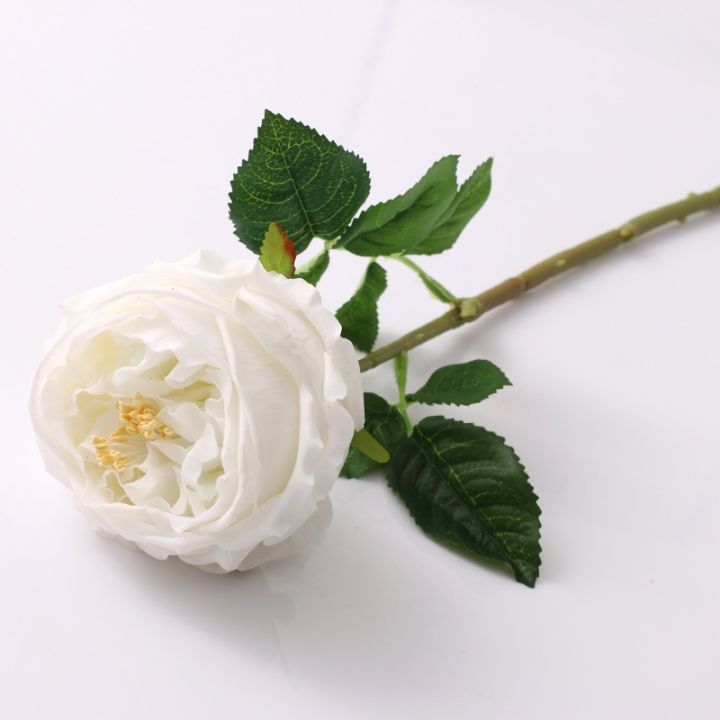 a-shack-potenreally-touch-งานแต่งงานงานเลี้ยงสวนการจัดดอกไม้ตกแต่ง