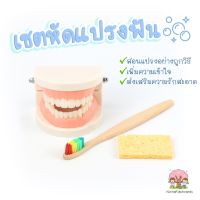 ?เซตหัดแปรงฟัน? โมเดลฟัน สำหรับสอนแปรงฟัน สอนเด็กแปรงฟัน