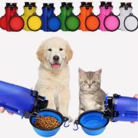 Silicone Dog Feeder Bowl With Carabiner Folding Cat Bowl Travel Dog Feeding Supplies FoodFor Dog Cat Puppy Bowl Water