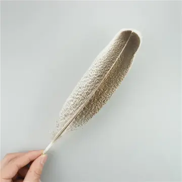 Large Natural Eagle Feather, Carnival Decoration, Black Feather