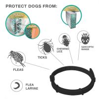 ZZOOI Insect Repellent Flea Mosquito Collar Adjustable Cat Dog Deworming Collar Anti-mosquito Non-toxic Waterproof Puppy Dogs Supplies