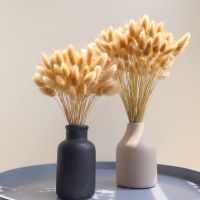 30pcs 100pcs Fluffy Bunny Tails Dried Flowers Arrangement Natural Rabbit Tail Grass for Vase Boho Floral for Wedding Home Decor