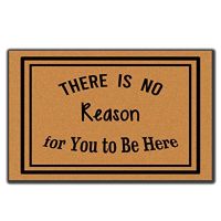 There is No Reason for You to Be Here Entrance Non-Slip Indoor Flannel Door Mats for Front