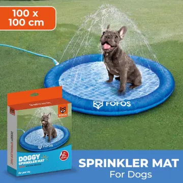 Sprinkler Splash Pad & Pool for Dogs (Free Shipping)