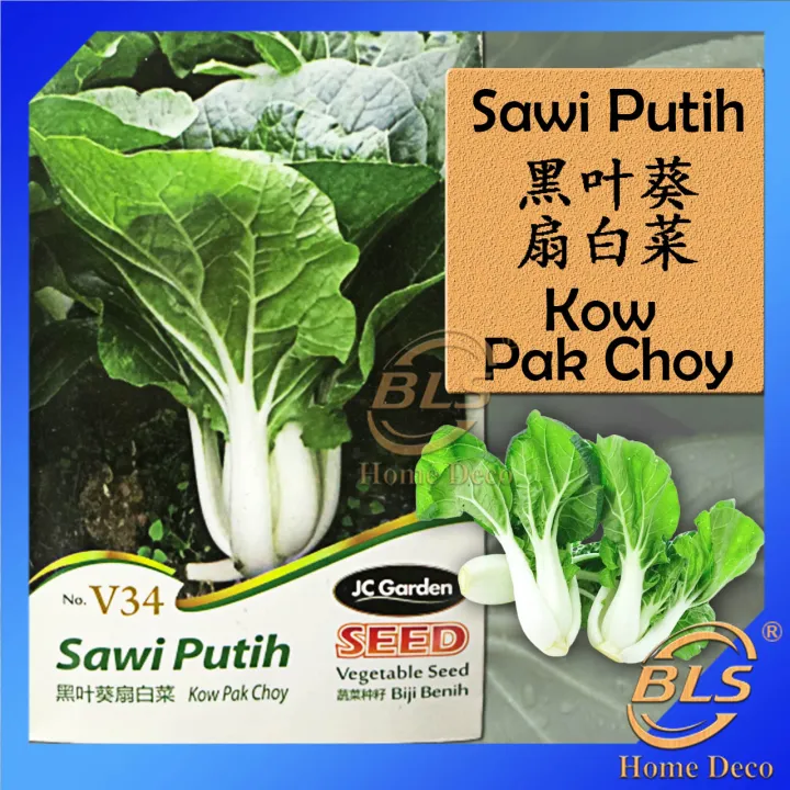 V34 Kow Pak Choy Jc Garden Biji Vegetable Seed Biji Benih Sawi Putih
