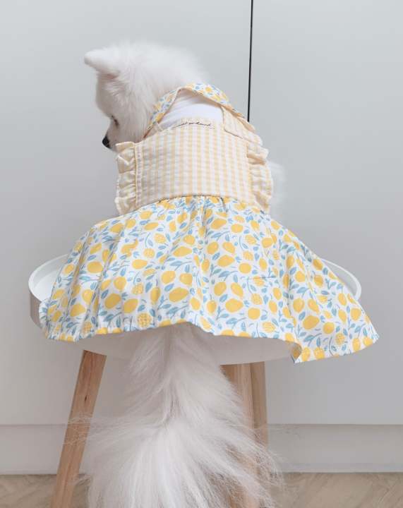 animal-go-round-เสื้อผ้าเครื่องแต่งกาย-สัตว์เลี้ยง-หมา-แมว-สุนัข-รุ่น-afternoon-lemon-tea-girl