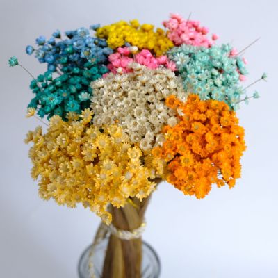 [AYIQ Flower Shop] ดอกไม้แห้งโฟมดาวสำหรับแต่งช่อดอกไม้ดอกเดซี่ขนาดเล็กพืชธรรมชาติตกแต่งลายดอกไม้สำหรับงานแต่งงานของตกแต่งบ้าน30/50ชิ้น