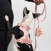 สายรัดสุนัขและสายจูงชุด No Pull Dog Vest Harness Breathable PVC Waterproof Dog Leash Collar For Small Medium Large Dogs