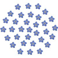 20Pcs Natural Forget-me-not Real Dried Pressed Flowers for Art Craft DIY Epoxy Resin Pendant Soap Craft Jewelry Card Making