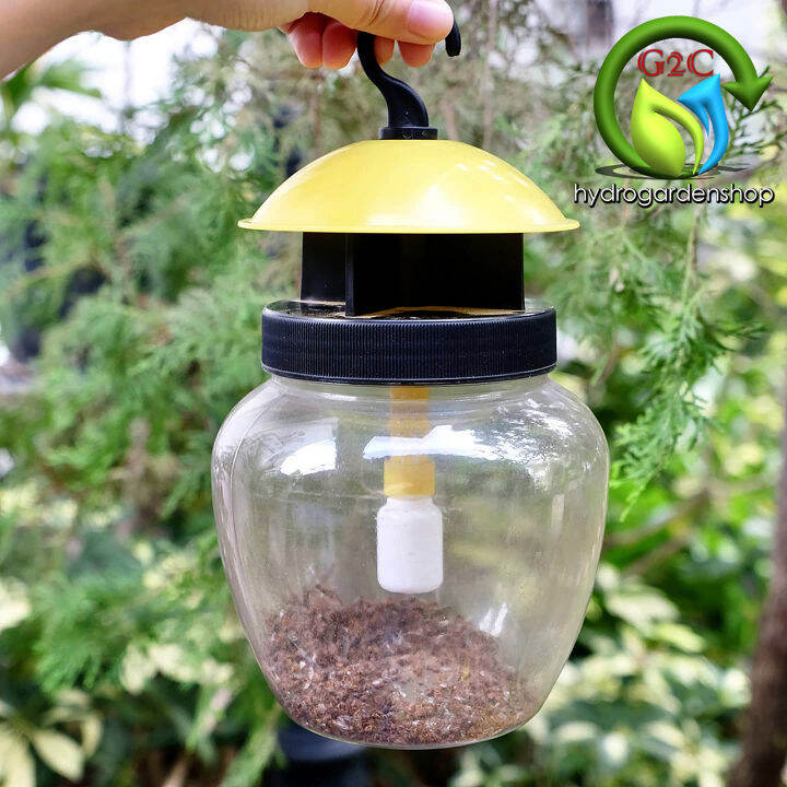 Fruit Fly Trap with Methyl Eugenol 6cc Lazada PH