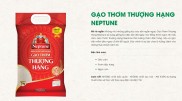 Gạo thơm đặc sản Neptune ST25 túi 5kg