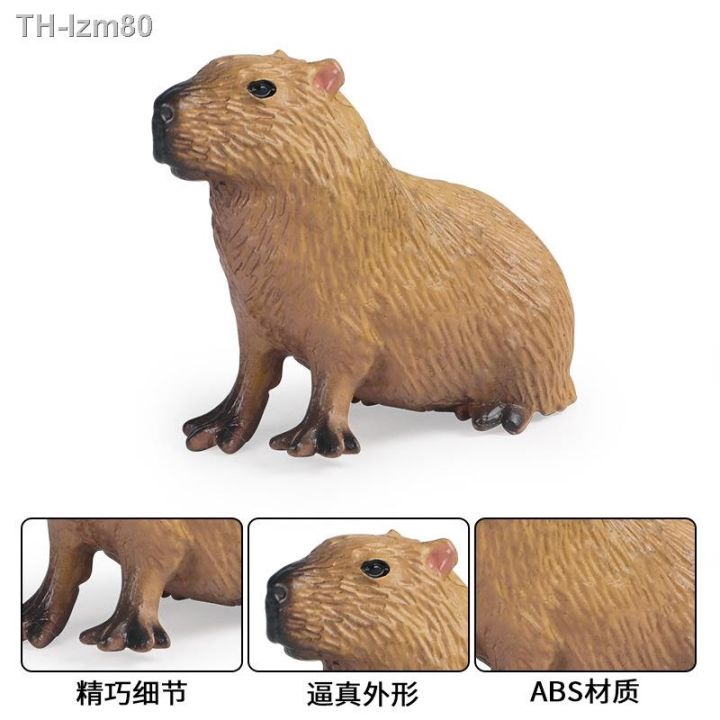 ของขวัญ-เด็กของเล่นจำลองสัตว์ป่ารุ่น-capybara-หนูปลาแมนดารินง้างปากปลาแมนดารินเครื่องประดับความรู้ความเข้าใจ