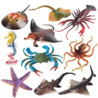 、‘、。； 2022 Ocean Animal Figurines Stingray Octopus Squid Starfish Crab Marine Lifes Model Action Figures Educational Toys For Children