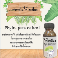 สารสกัด Phyto Pure (ไฟโตเพียว) (คลิกเพื่อเลือกขนาด)