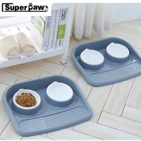 food dish PP eco-friendly materials dog cat bowl stainless steel double bowl