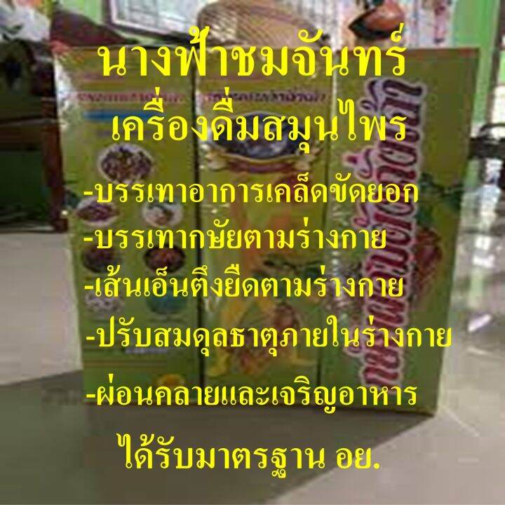 เครื่องดื่มสมุนไพร-นางฟ้าชมจันทร์-2-ขวด-กษัยผสมถั่งเฉ่า-น้ำสมุนไพร-กษัย-ถั่งเฉ้า-เจริญอาหาร-เคล็ดขัดยอก-เส้นตึงยึด-นางฟ้าชมจันทร์