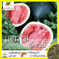 เมล็ดพันธุ์ แตงโม ชูก้าเบบี้ 30 เมล็ด Sugarbaby Watermelon เมล็ดพันธุ์แท้ นำเข้าจากต่างประเทศ ปลูกผัก สวนครัว ถูกดี